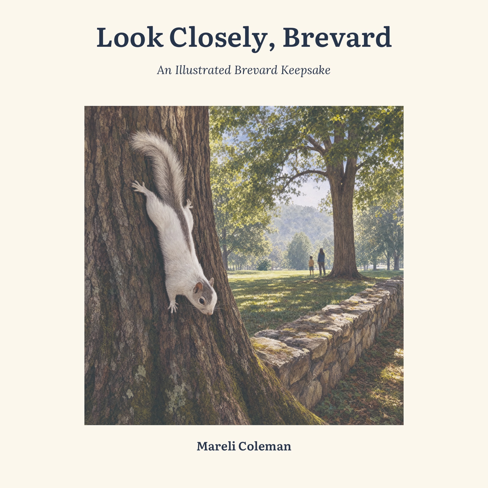 Front cover of Look Closely, Brevard: An Illustrated Brevard Keepsake by Mareli Coleman